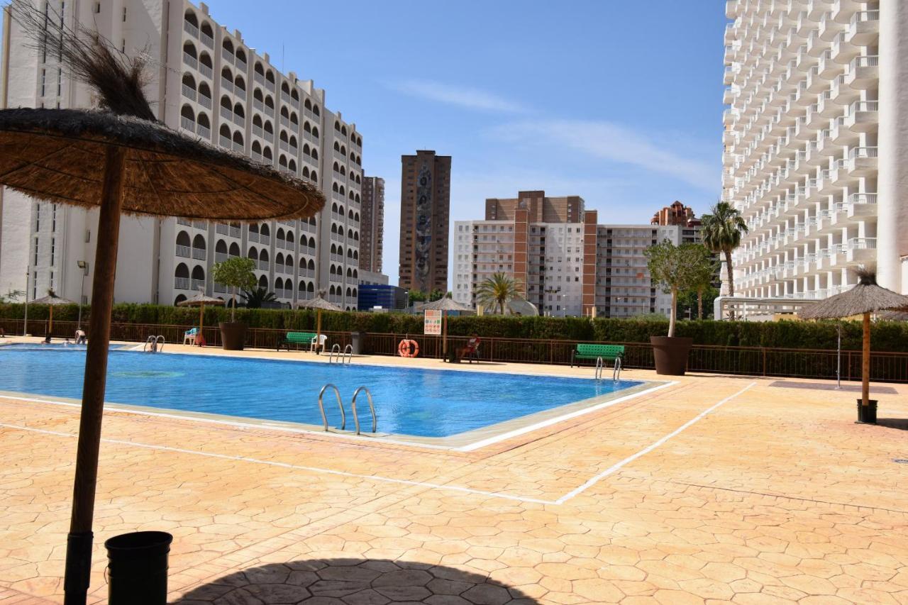Acuarium 3 - Fincas Arena Benidorm Extérieur photo