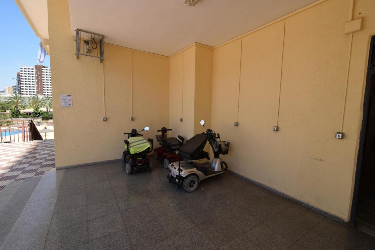 Acuarium 3 - Fincas Arena Benidorm Extérieur photo